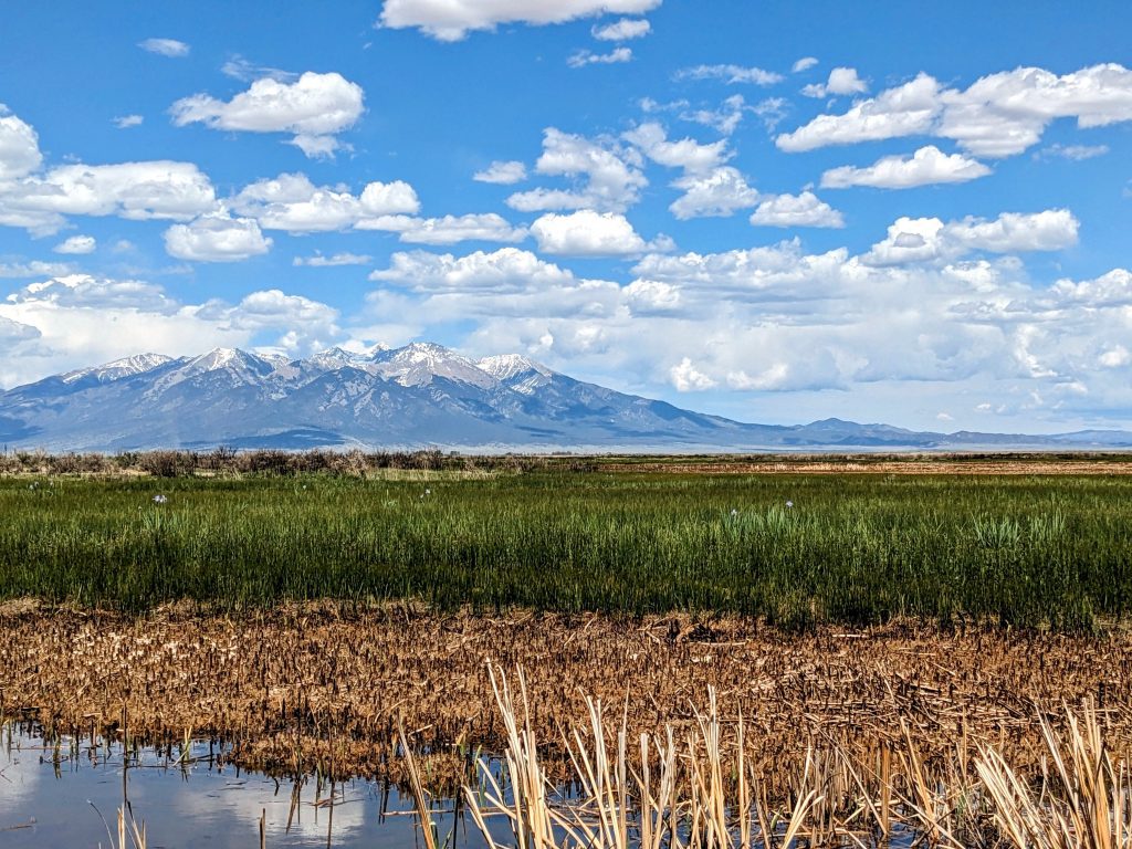 Mt Blanca, Alamosa, Colorado Image of peak, with blue skies and puffy clouds, green grass land and cattails on the marsh
